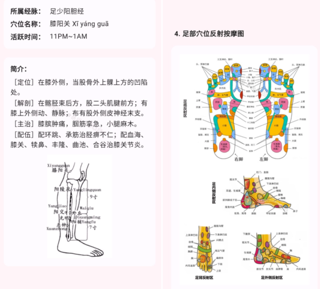 人体穴位图解APP: 穴位养生宝典-第1张图片-IT技术视界