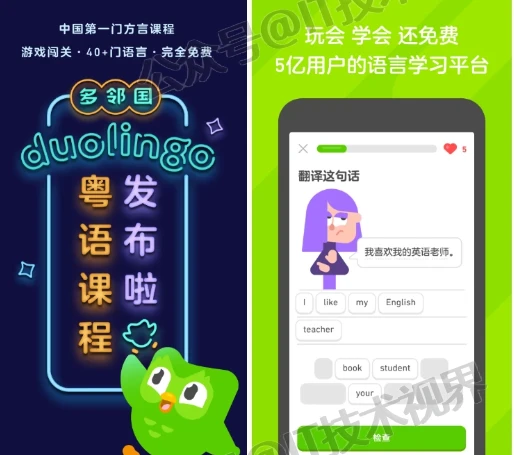 Duolingo 多邻国高级版 v6.7.3-第1张图片-IT技术视界